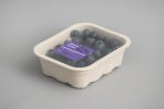 berries-11301-pulp-tray-punnet-topseal-NNZ