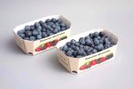 berries-12007-cardboard-tray-NNZ DE