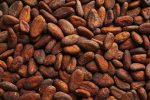 Aromatic,Cocoa,Beans,As,Background