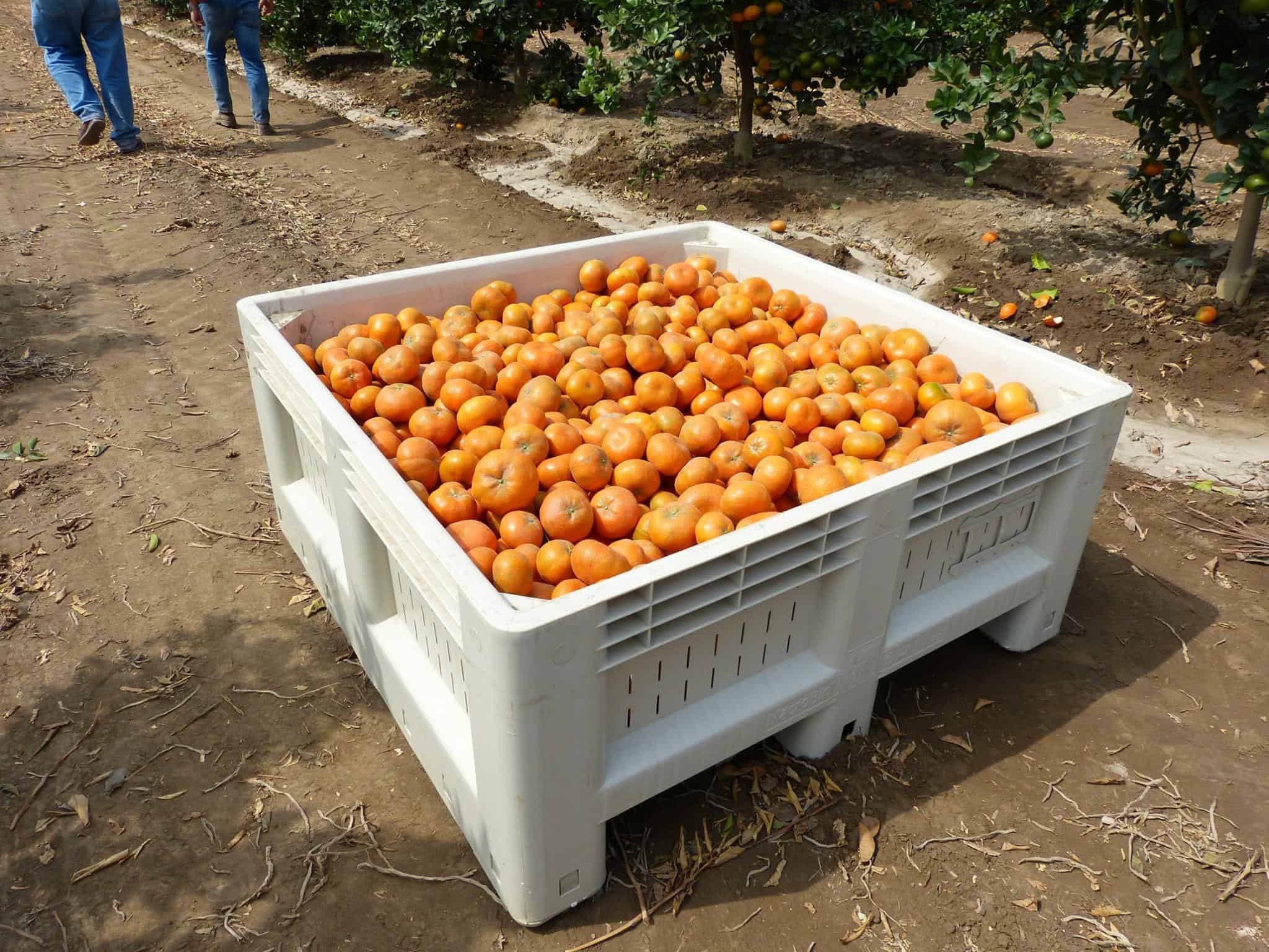 Plastic bins containers totes the Royal NNZ Group bv