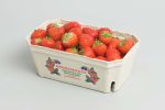 Strawberry packaging