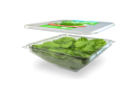 Q-bic spinach lid