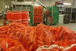 carrots-01501-net-bag-knitted-NNZ